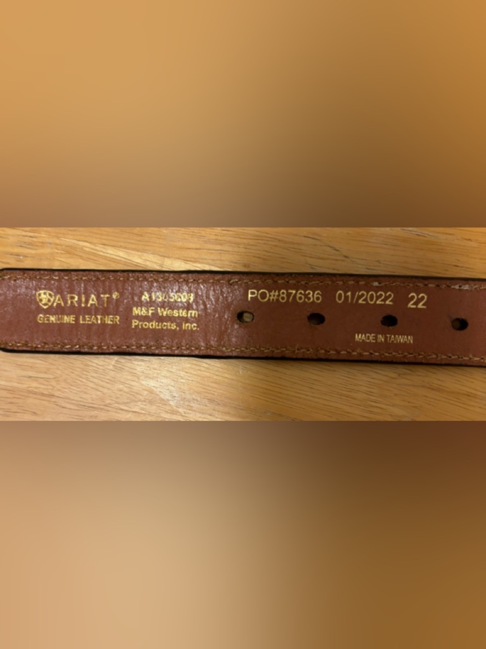 Ariat 22 Rodeo Brown Studded Kids' Genuine Leather Belt with Calf Hair-On Detail - Picture 7 of 8